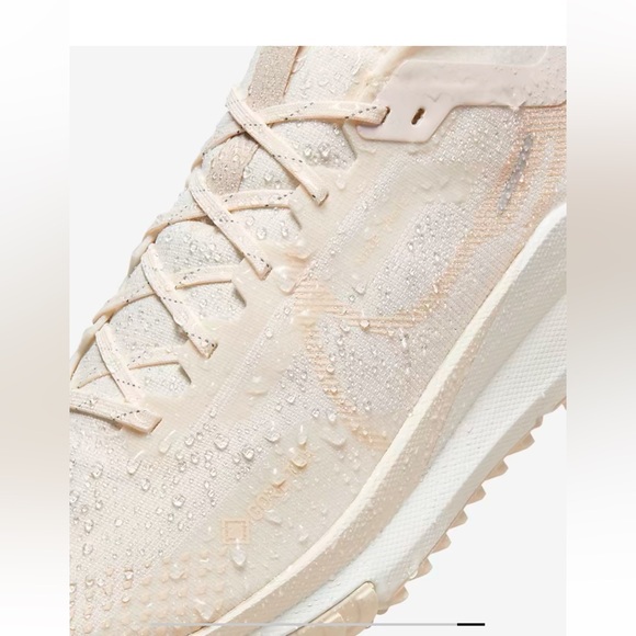 11.5 Nike Pegasus gore-Tex - Picture 9 of 10